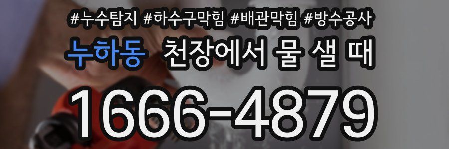 누하동 천장에서 물 샐 때
