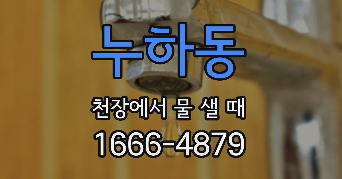 누하동 천장에서 물 샐 때