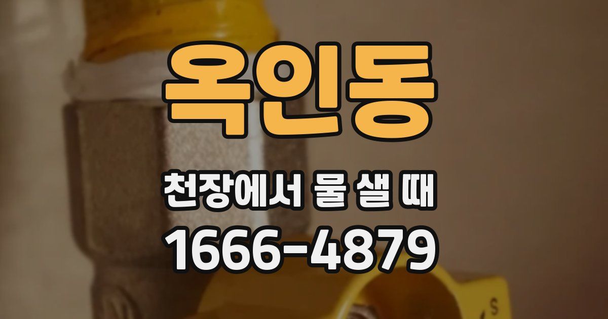 옥인동 천장에서 물 샐 때