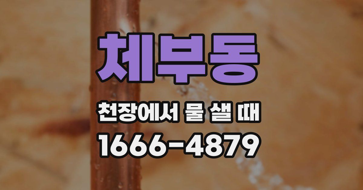 체부동 천장에서 물 샐 때
