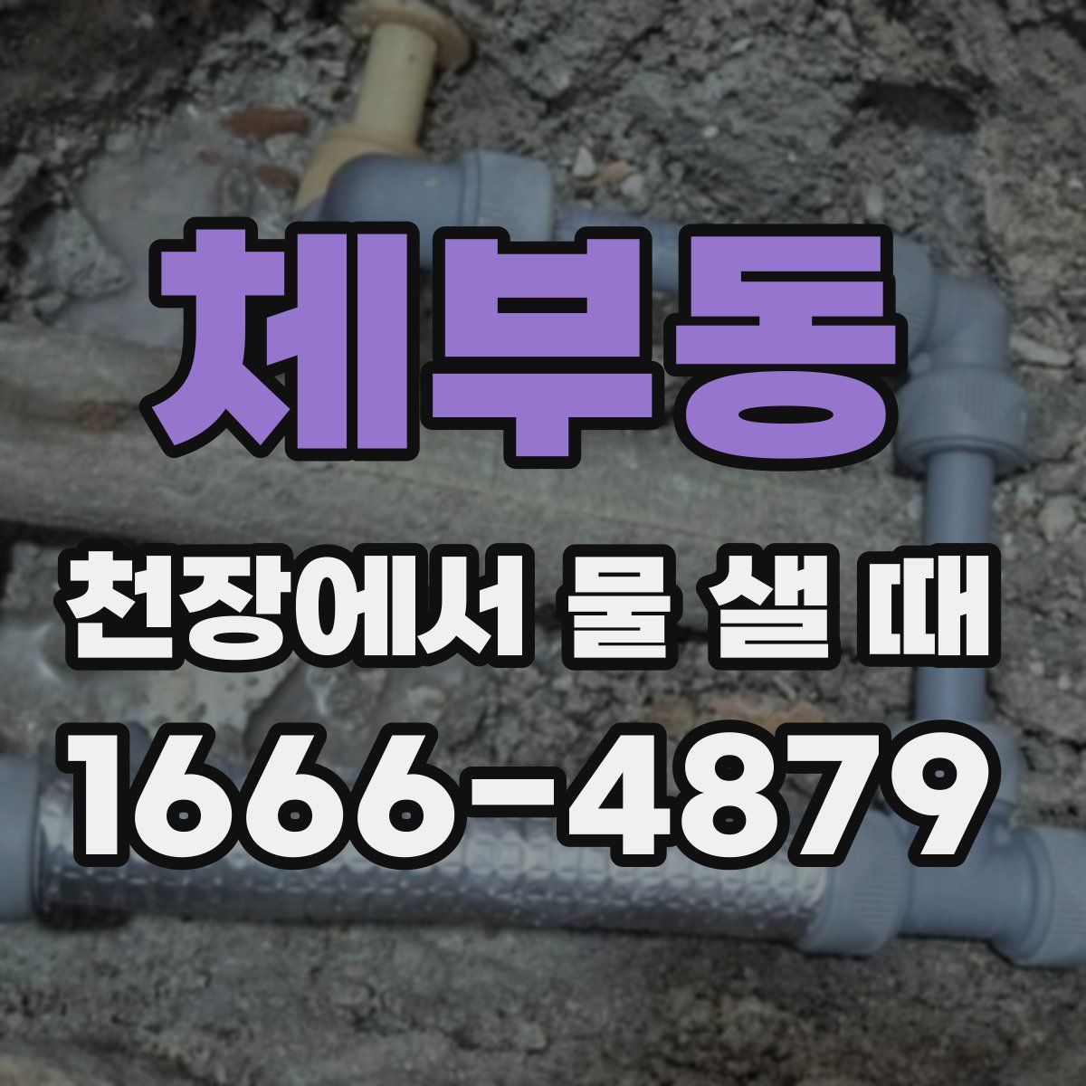 체부동 천장에서 물 샐 때