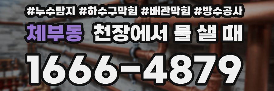 체부동 천장에서 물 샐 때