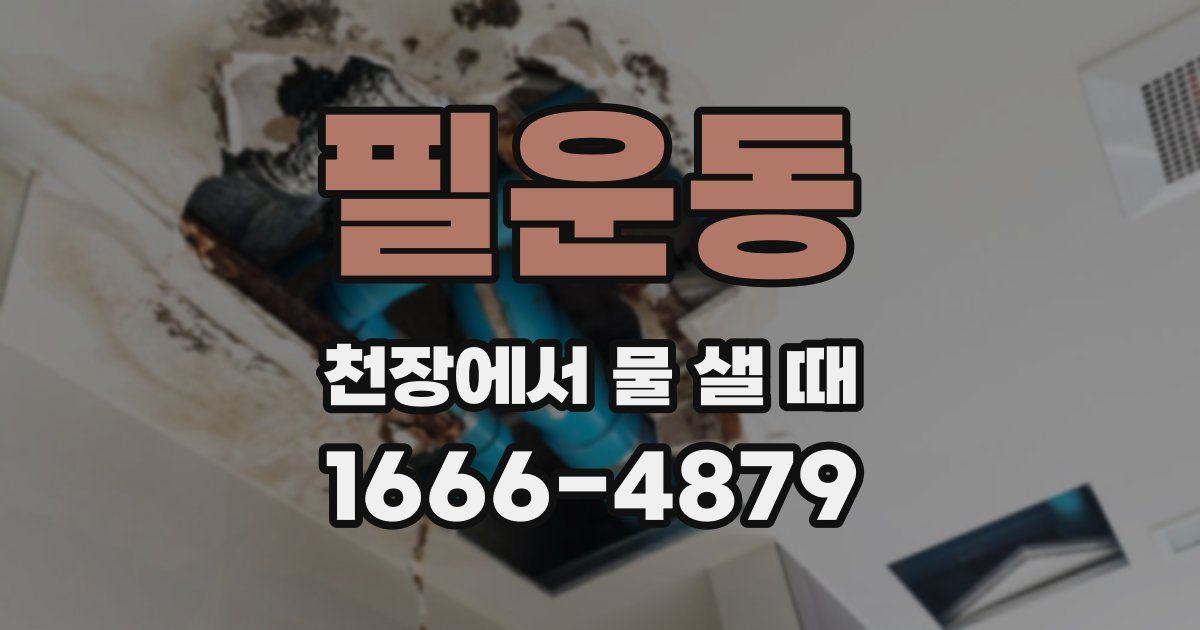 필운동 천장에서 물 샐 때