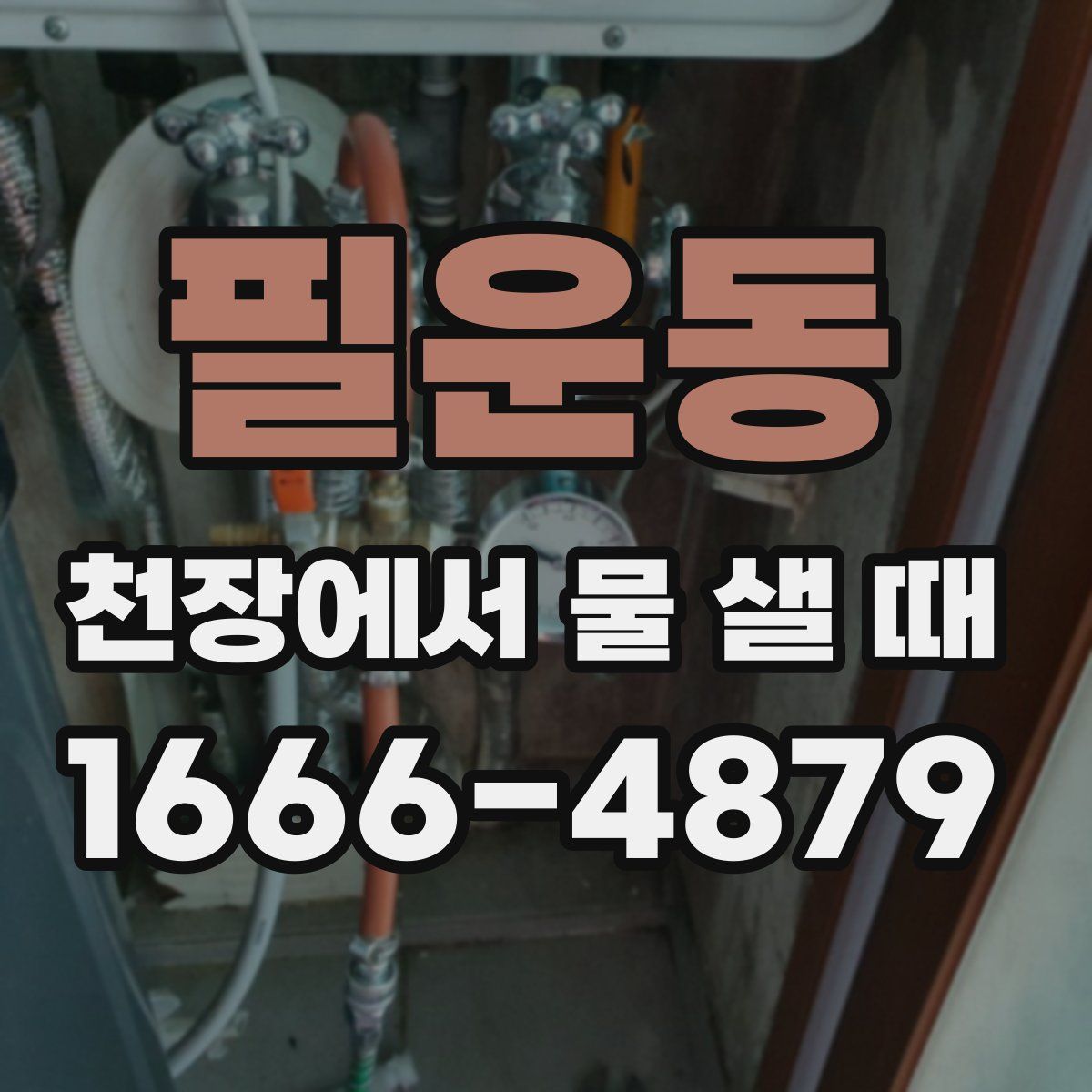 필운동 천장에서 물 샐 때