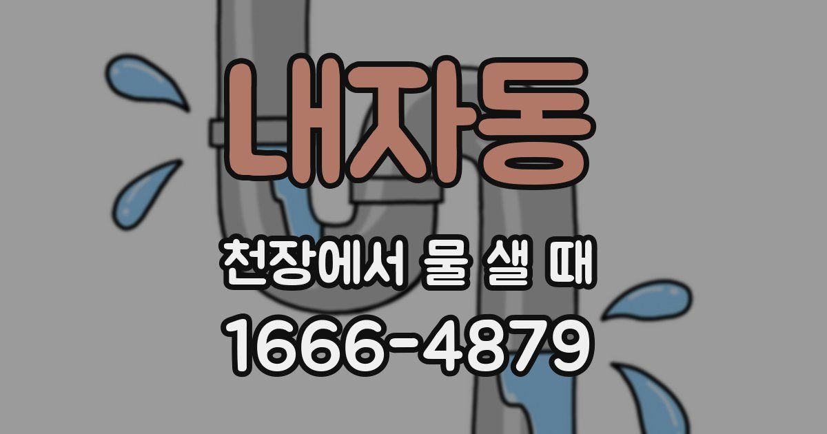 내자동 천장에서 물 샐 때