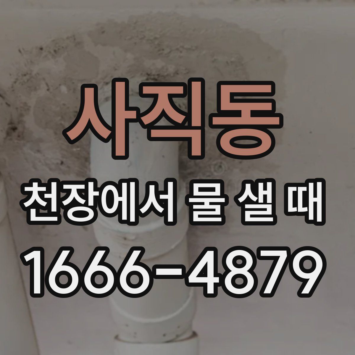 사직동 천장에서 물 샐 때