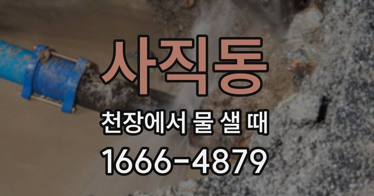사직동 천장에서 물 샐 때