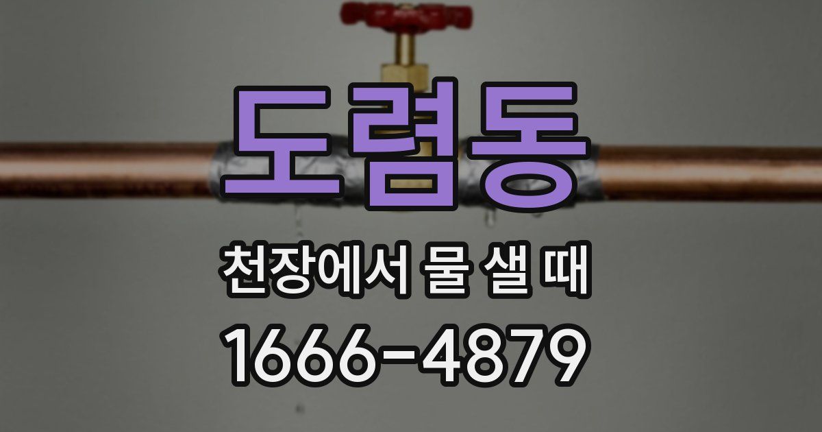 도렴동 천장에서 물 샐 때