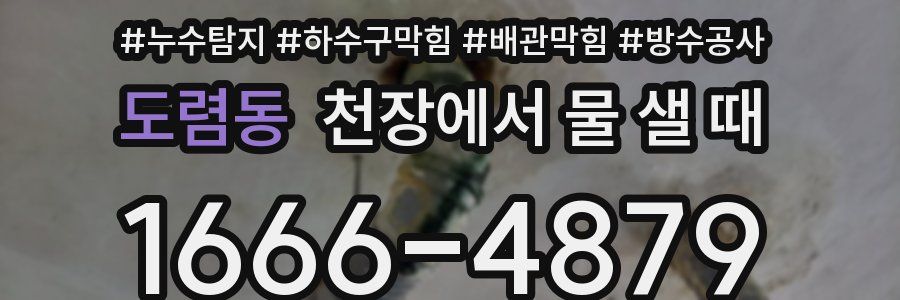 도렴동 천장에서 물 샐 때