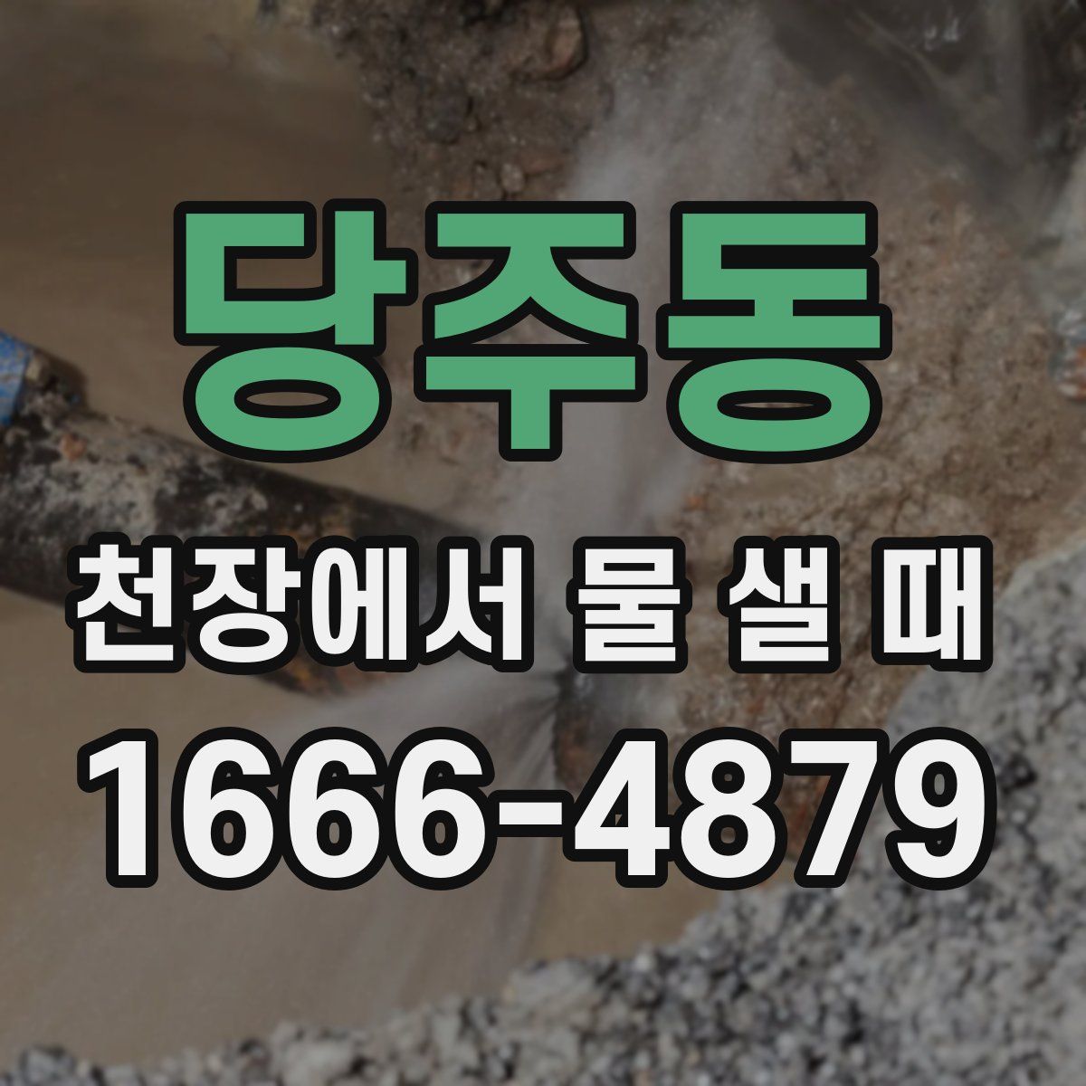 당주동 천장에서 물 샐 때