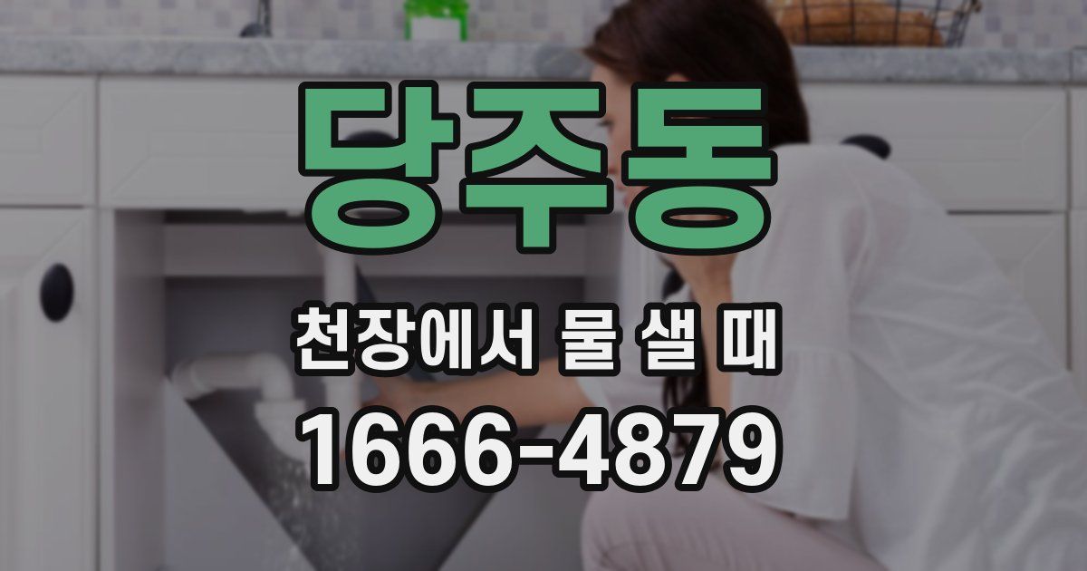 당주동 천장에서 물 샐 때