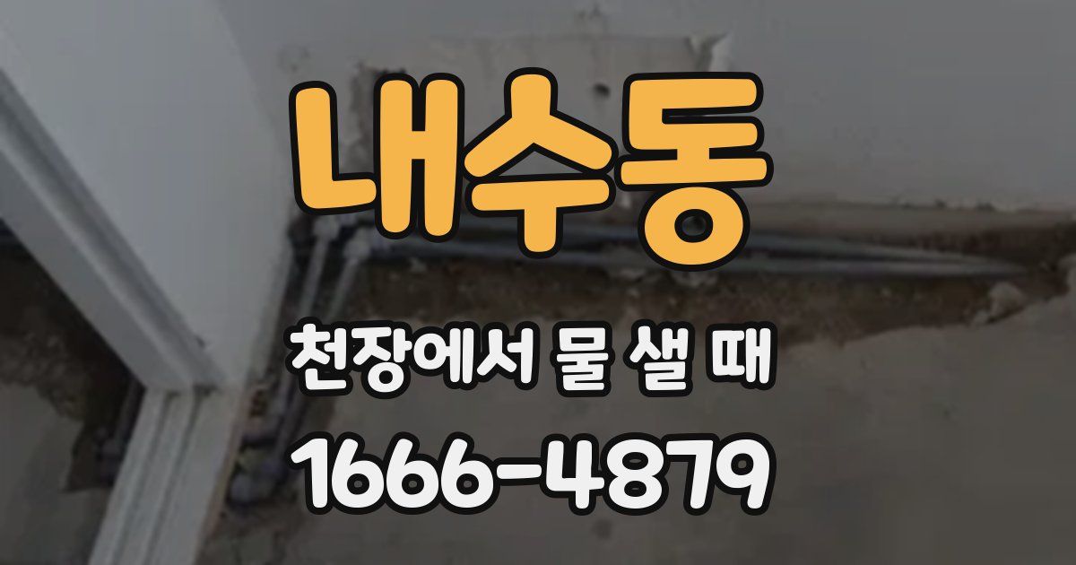내수동 천장에서 물 샐 때