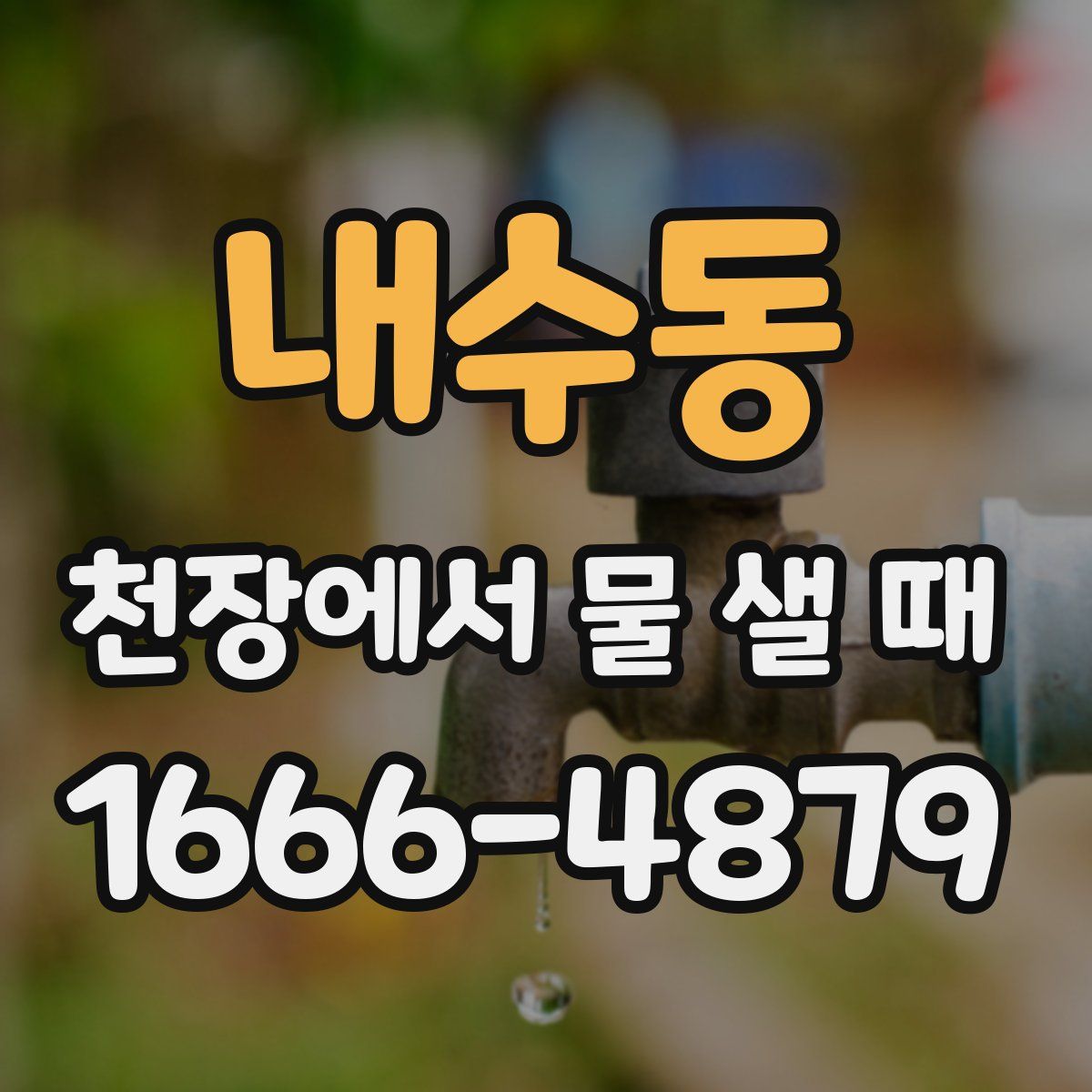내수동 천장에서 물 샐 때