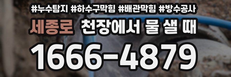 세종로 천장에서 물 샐 때