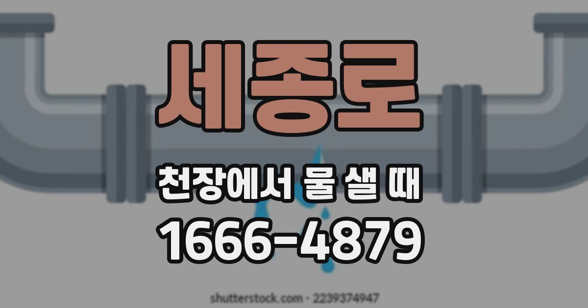 세종로 천장에서 물 샐 때