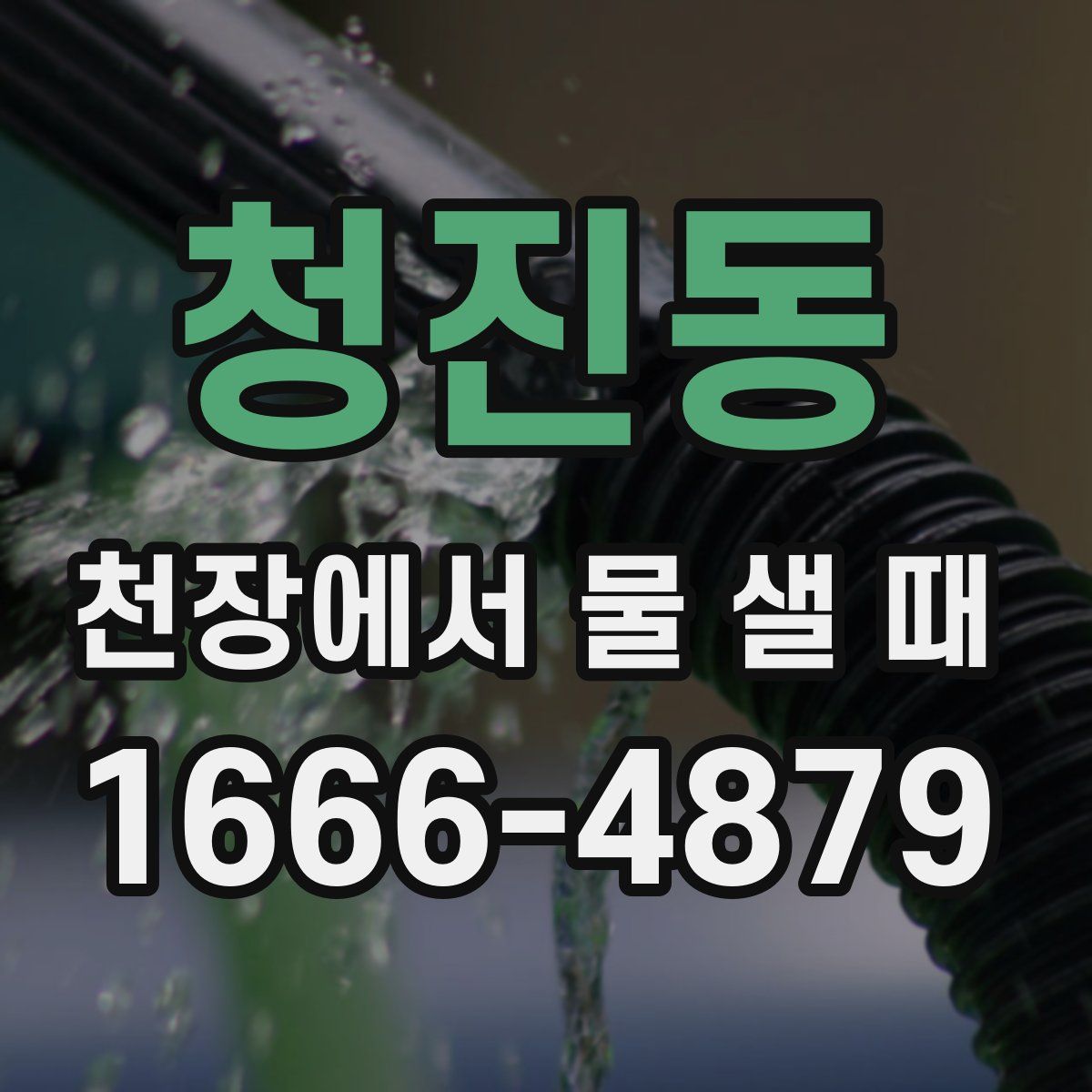 청진동 천장에서 물 샐 때
