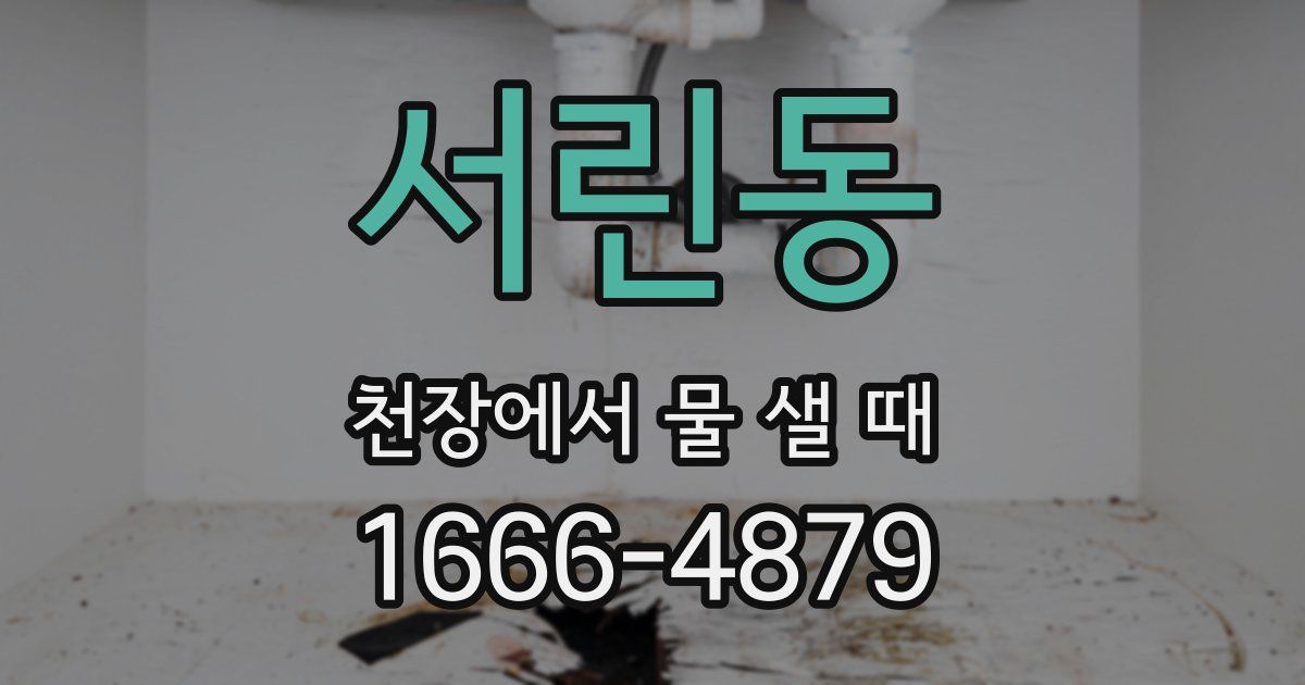 서린동 천장에서 물 샐 때