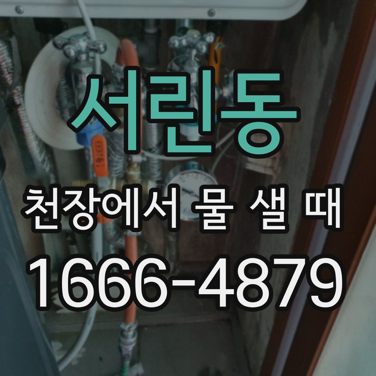 서린동 천장에서 물 샐 때