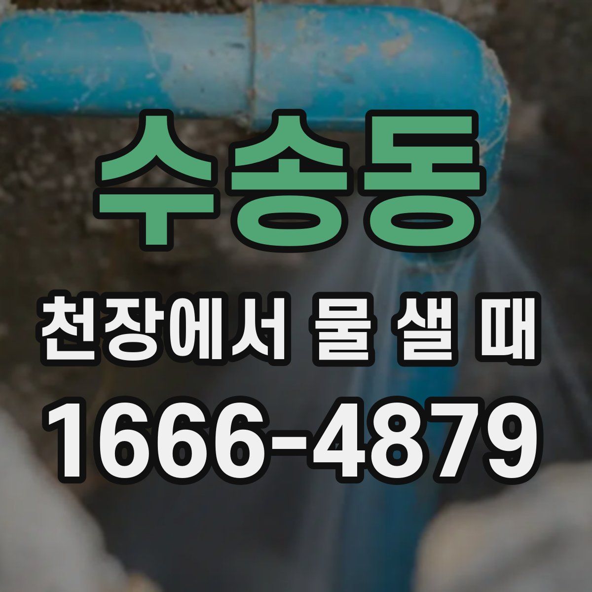 수송동 천장에서 물 샐 때
