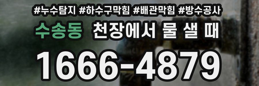 수송동 천장에서 물 샐 때