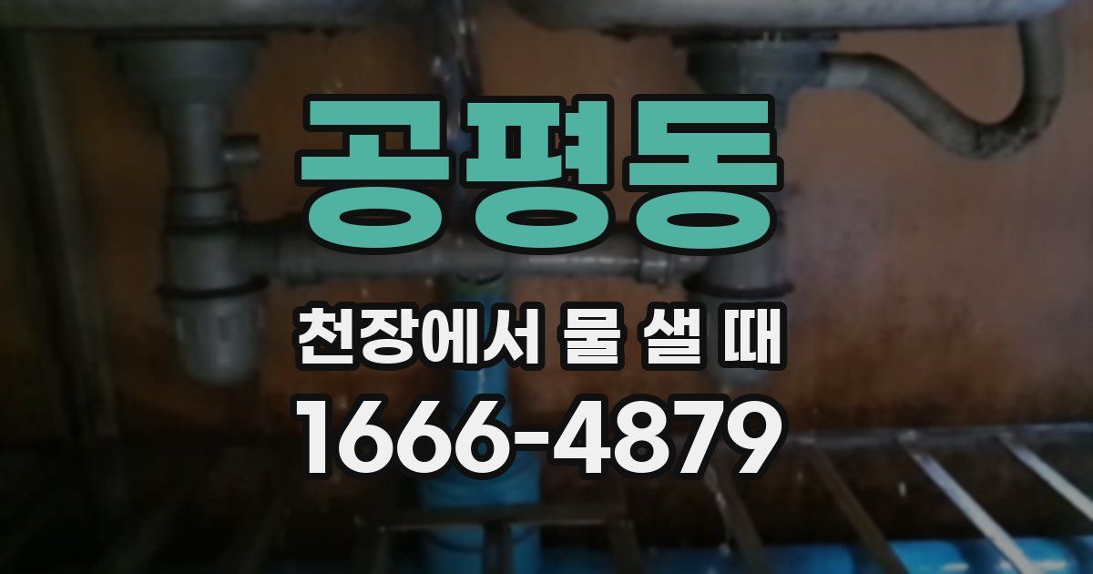 공평동 천장에서 물 샐 때