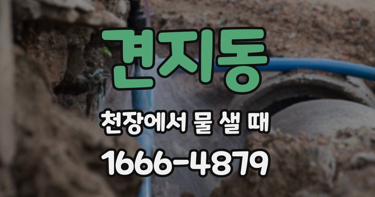 견지동 천장에서 물 샐 때