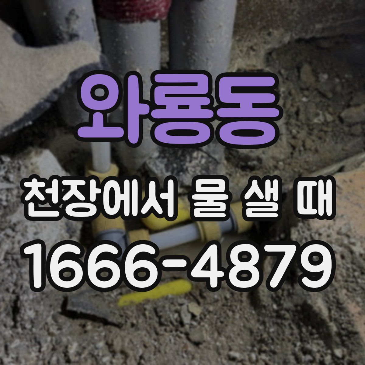 와룡동 천장에서 물 샐 때