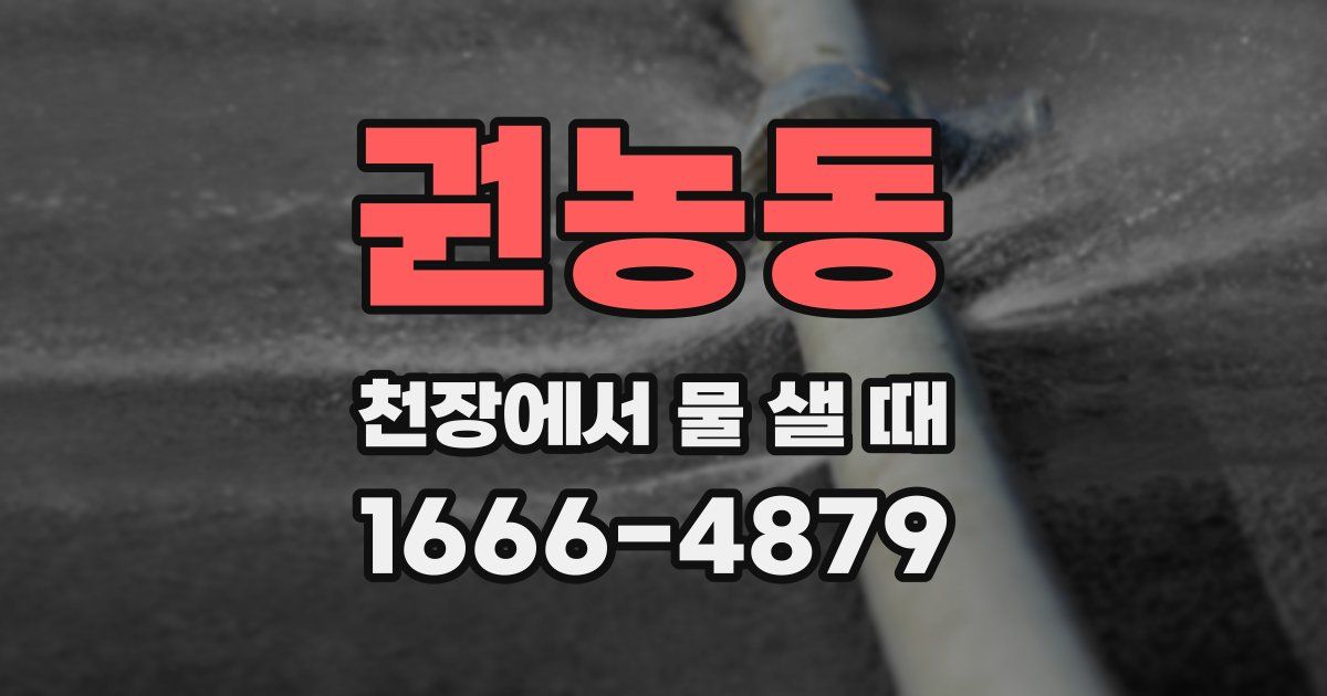 권농동 천장에서 물 샐 때