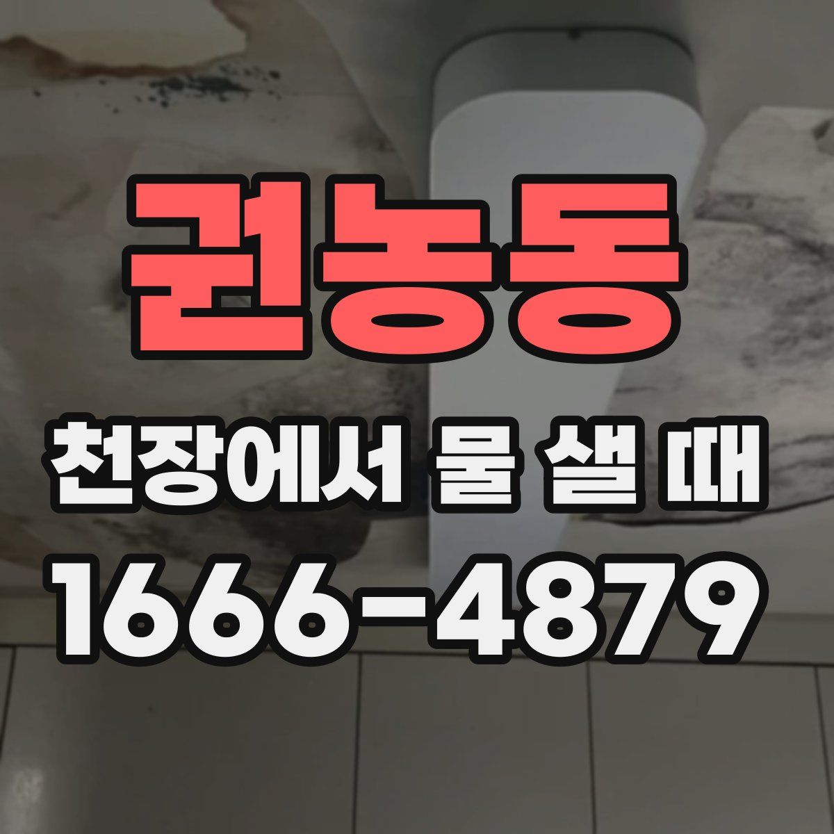 권농동 천장에서 물 샐 때