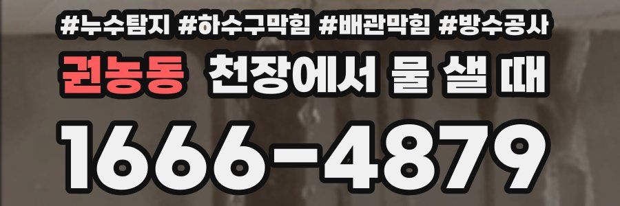 권농동 천장에서 물 샐 때