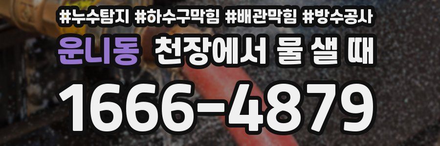 운니동 천장에서 물 샐 때