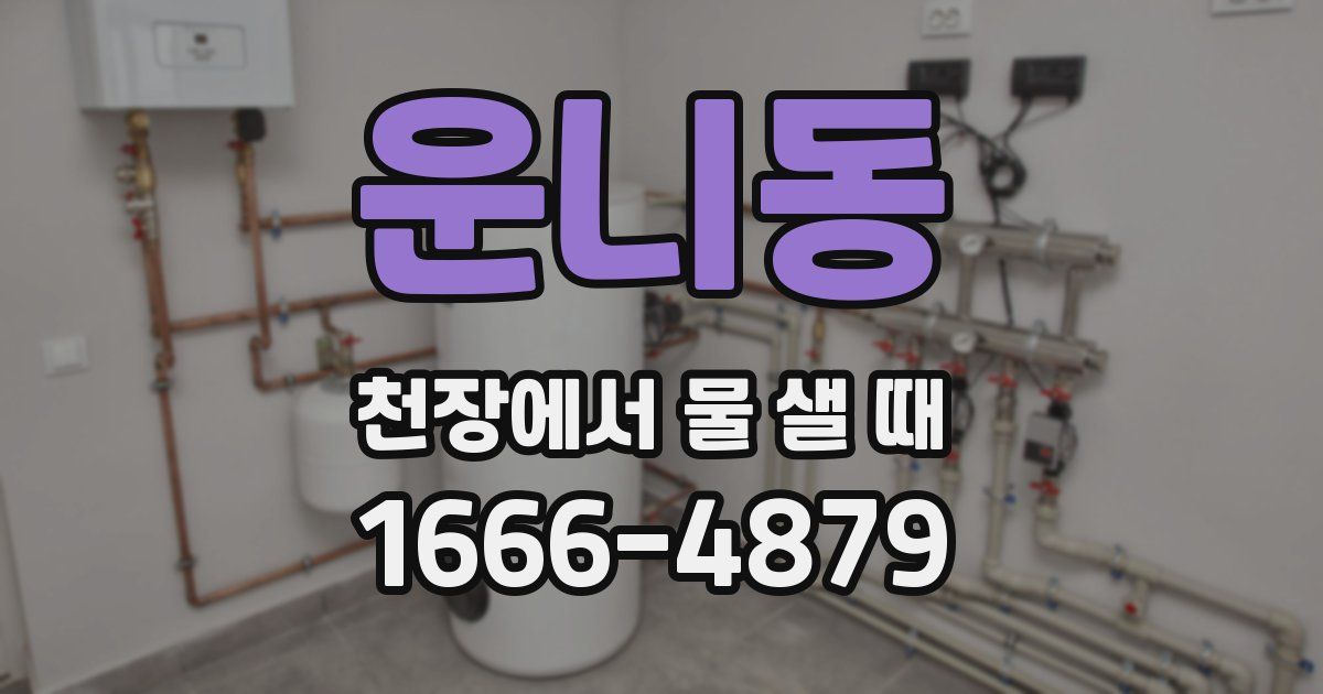 운니동 천장에서 물 샐 때