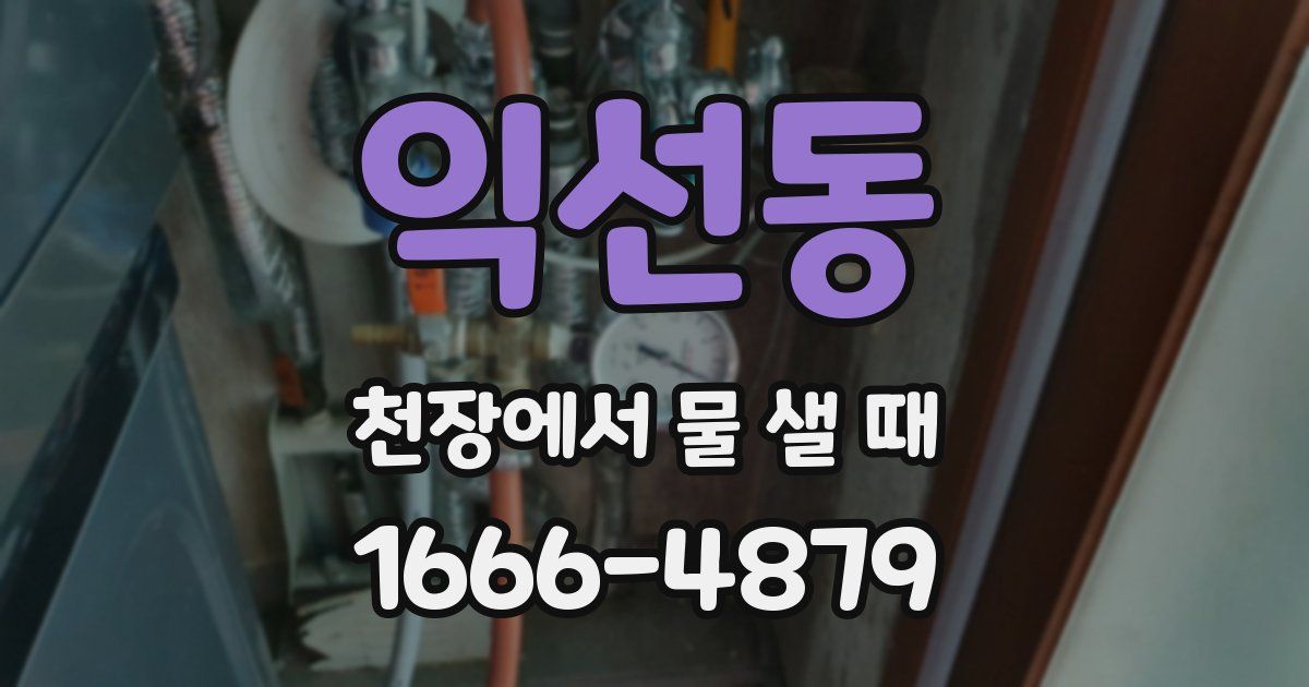익선동 천장에서 물 샐 때