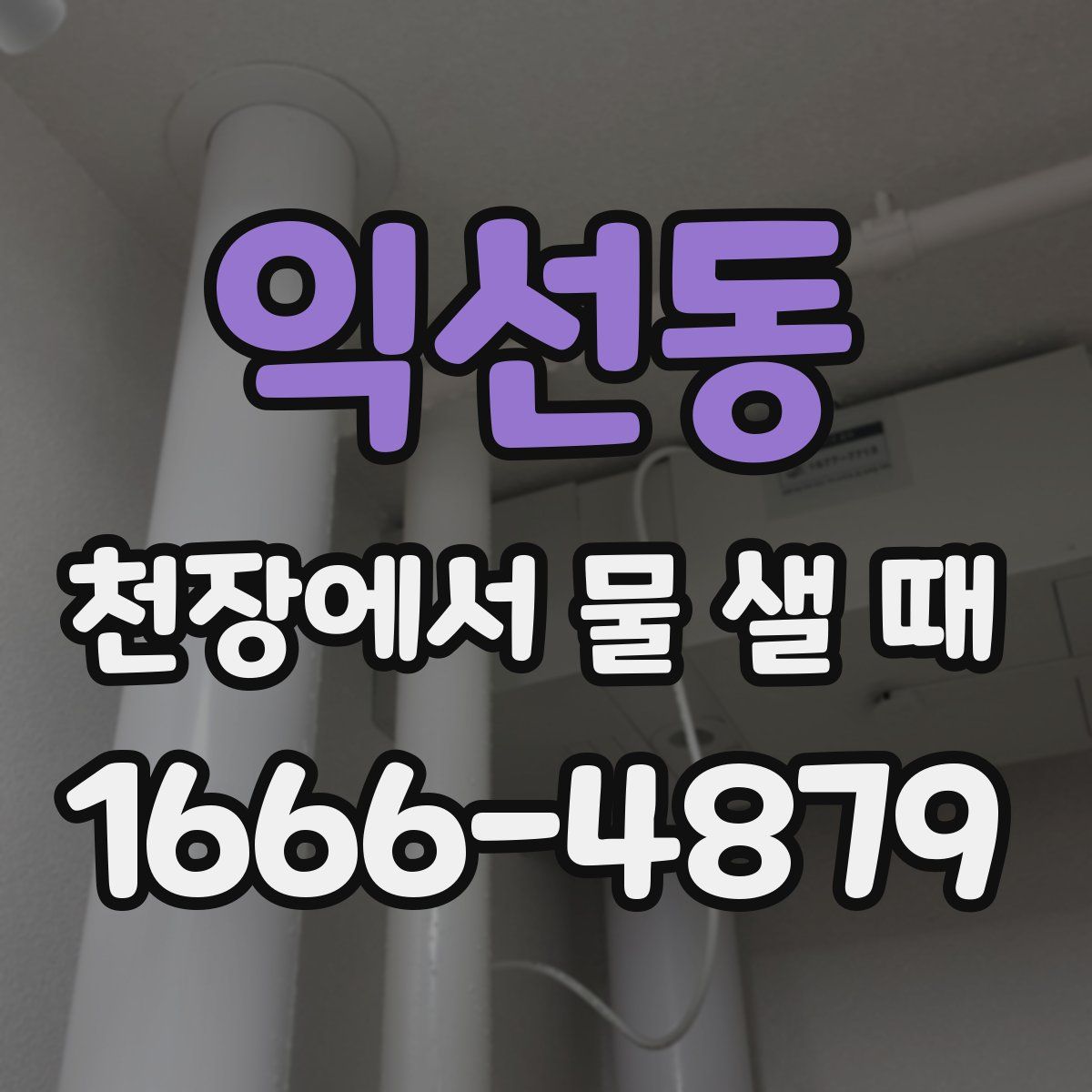 익선동 천장에서 물 샐 때