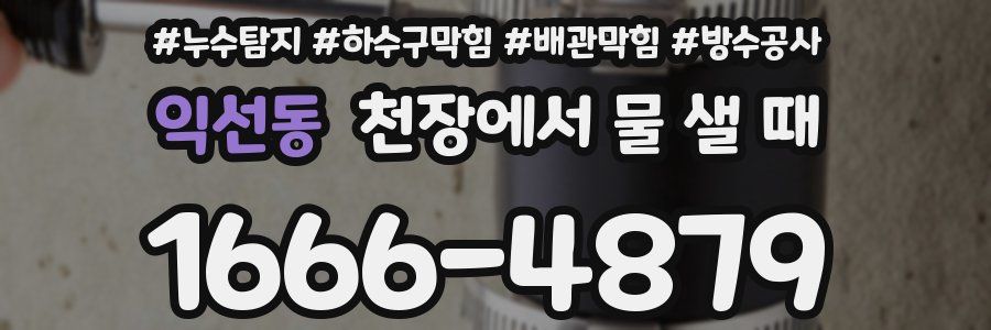 익선동 천장에서 물 샐 때