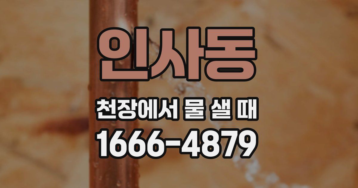 인사동 천장에서 물 샐 때