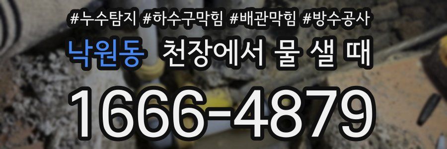 낙원동 천장에서 물 샐 때