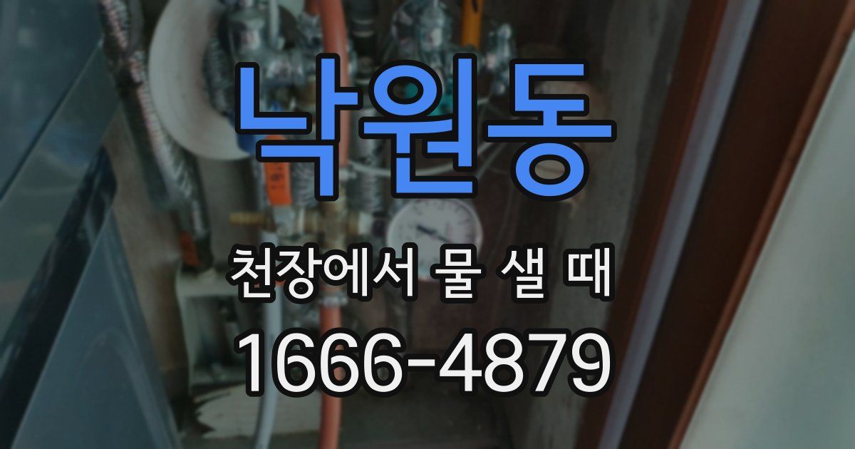 낙원동 천장에서 물 샐 때