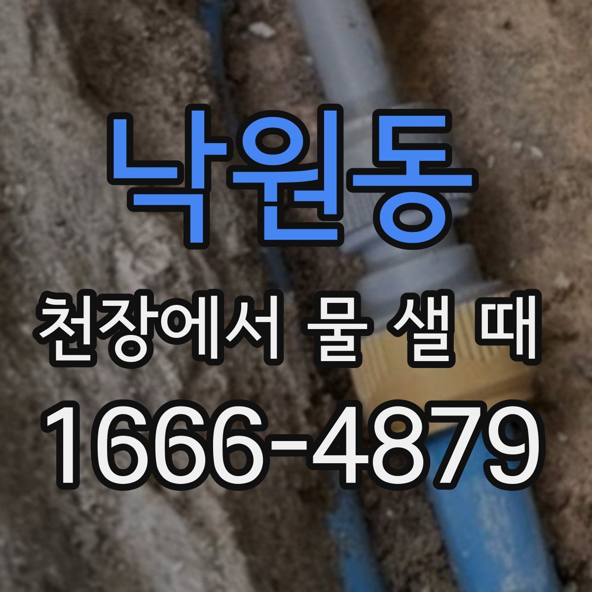 낙원동 천장에서 물 샐 때