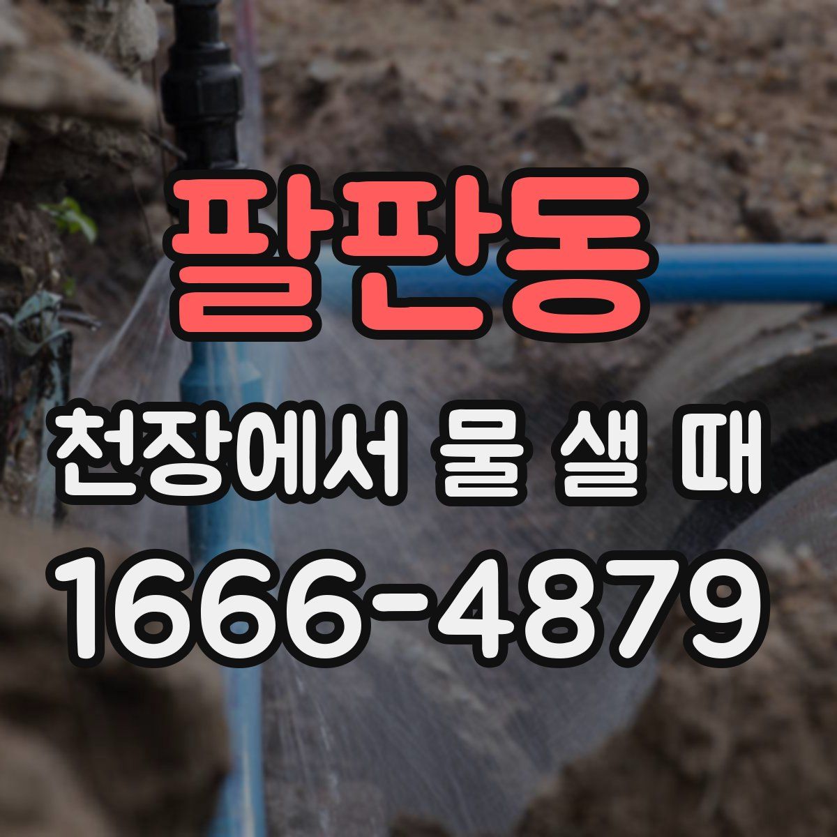 팔판동 천장에서 물 샐 때