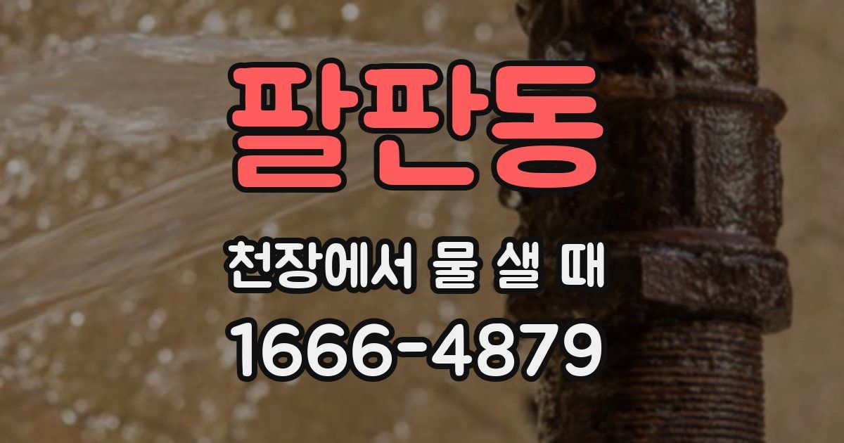 팔판동 천장에서 물 샐 때