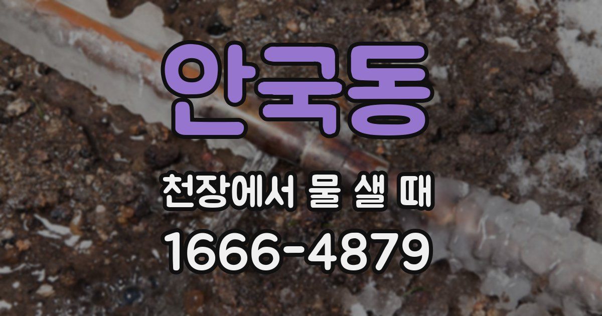 안국동 천장에서 물 샐 때