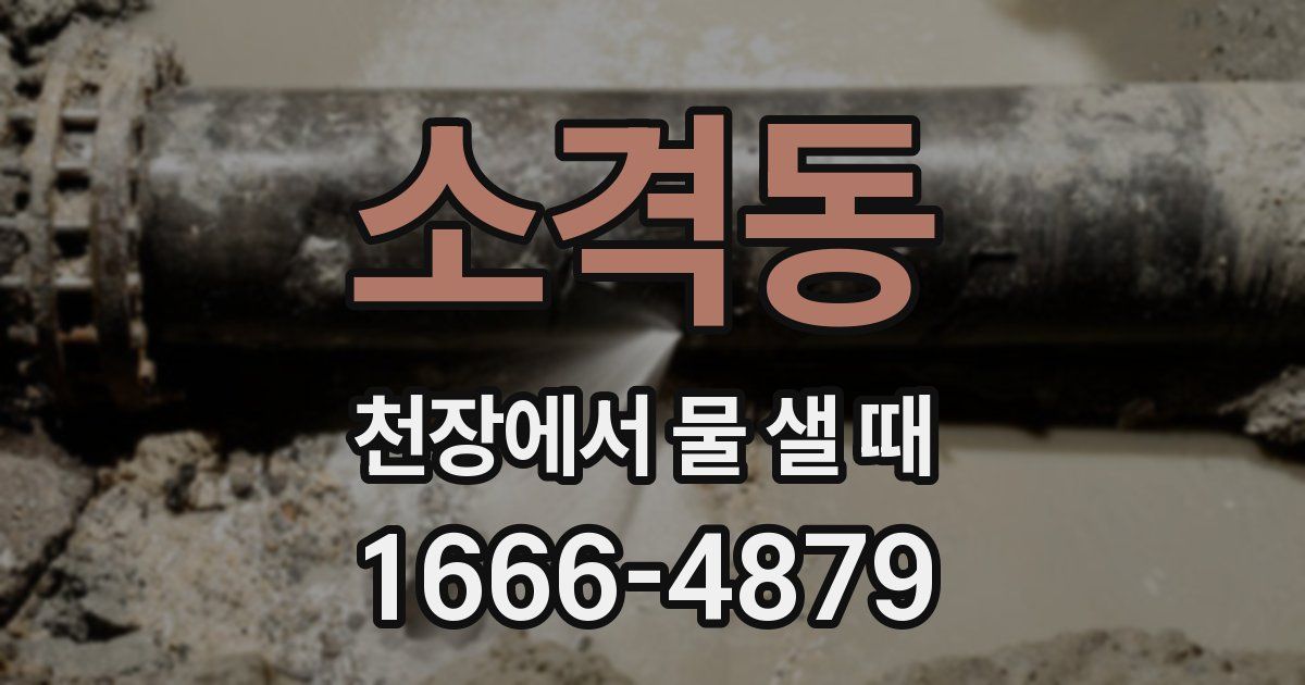 소격동 천장에서 물 샐 때