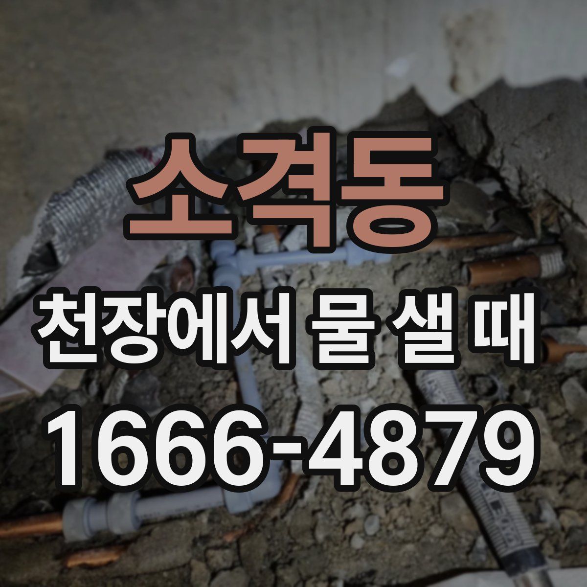 소격동 천장에서 물 샐 때