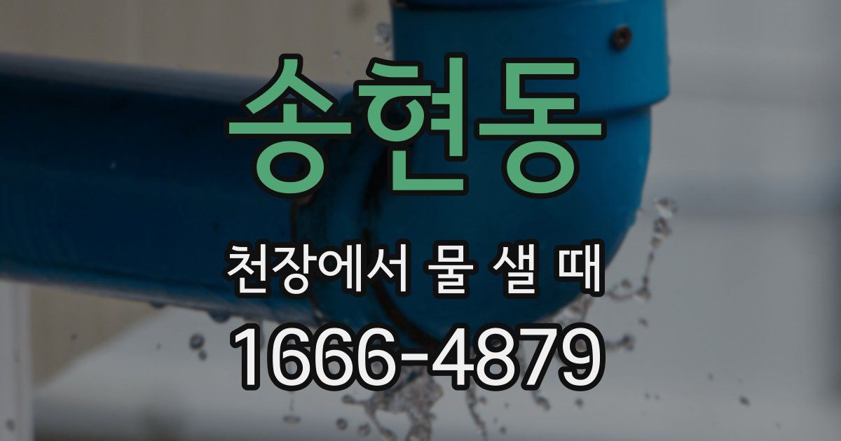 송현동 천장에서 물 샐 때