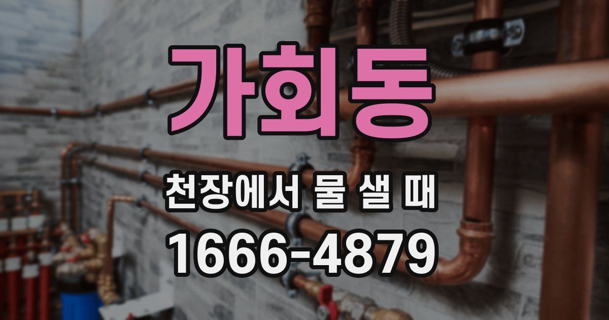 가회동 천장에서 물 샐 때