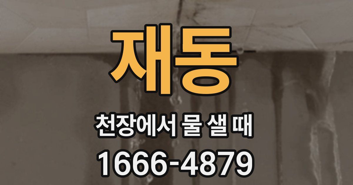 재동 천장에서 물 샐 때