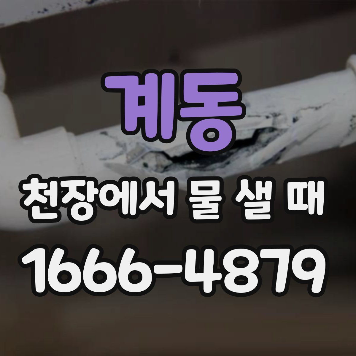 계동 천장에서 물 샐 때