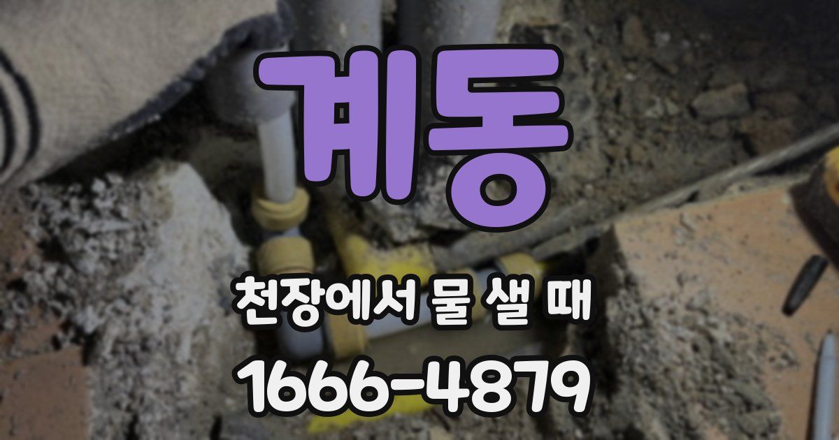 계동 천장에서 물 샐 때