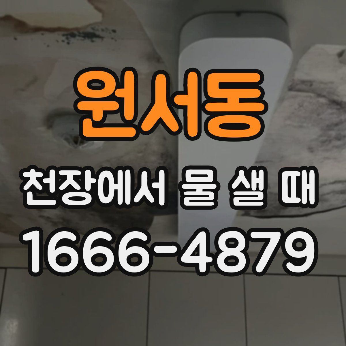 원서동 천장에서 물 샐 때